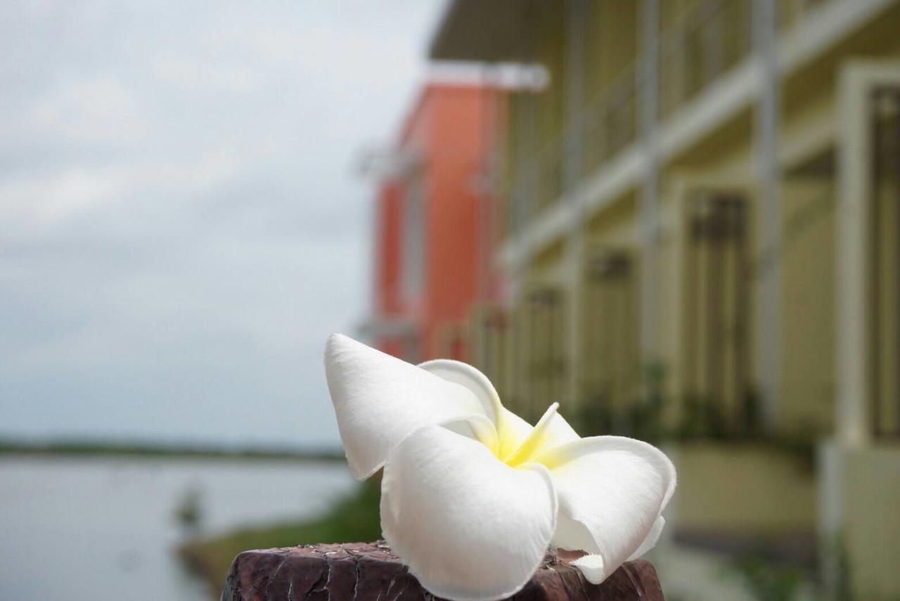 Baan Talay See Cream Resort Samut Songkhram Exterior foto